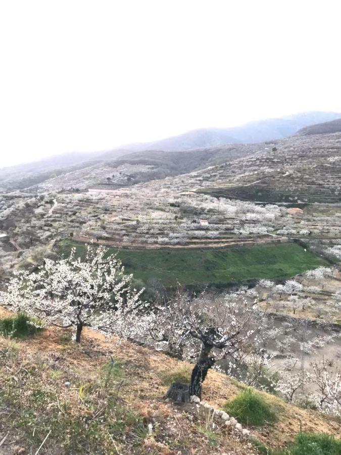 トルナバカス La Escondidaヴィラ エクステリア 写真